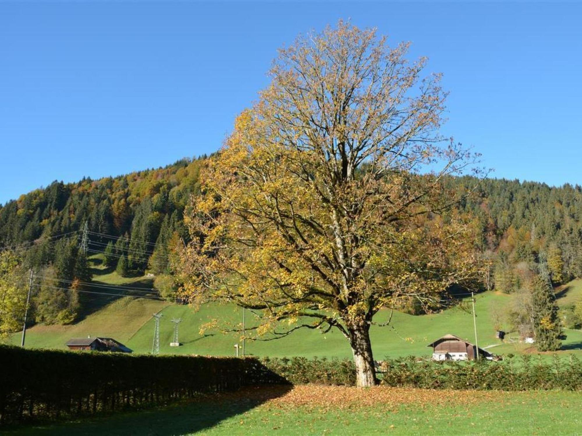 Apartment Oberland Nr- 3 By Interhome Gstaad Luaran gambar